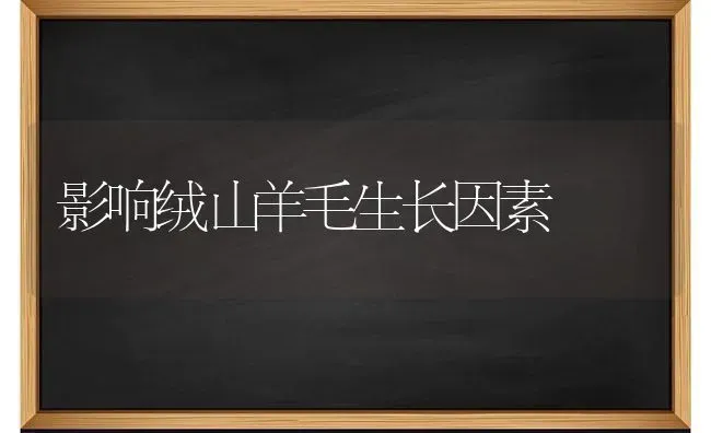 影响绒山羊毛生长因素 | 家畜养殖