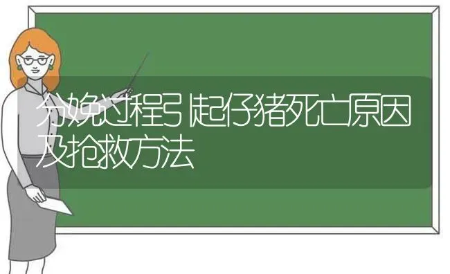 分娩过程引起仔猪死亡原因及抢救方法 | 家畜养殖