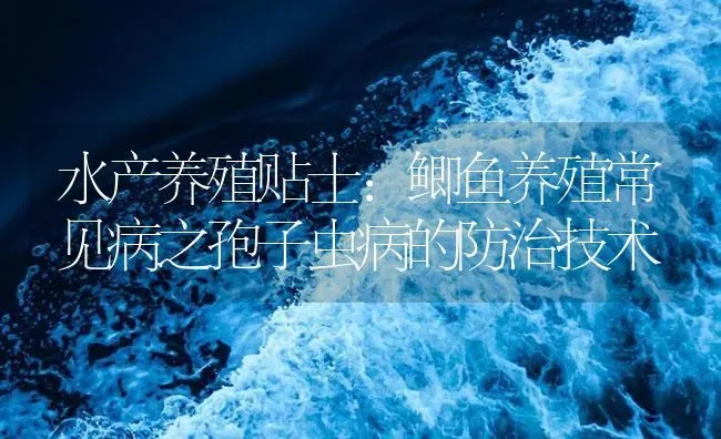 水产养殖贴士：鲫鱼养殖常见病之孢子虫病的防治技术 | 养殖病虫害防治