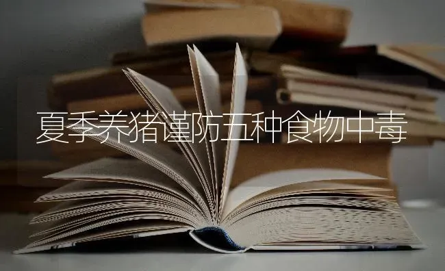 夏季养猪谨防五种食物中毒 | 家畜养殖