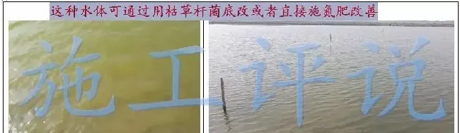 池塘底改是个很高深的问题吗？养殖户朋友能不能简单地底改？