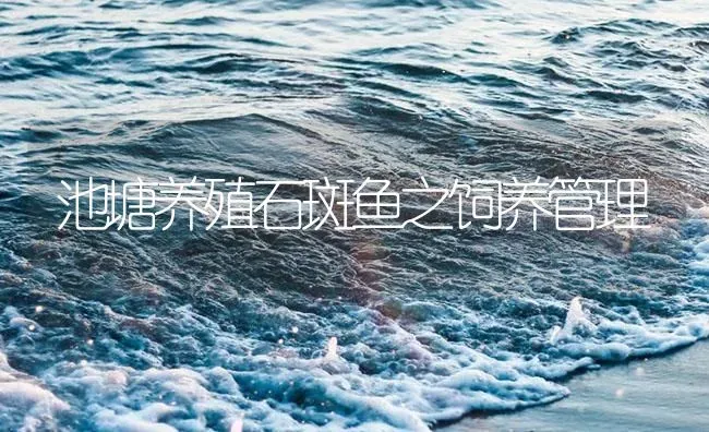 池塘养殖石斑鱼之饲养管理 | 海水养殖