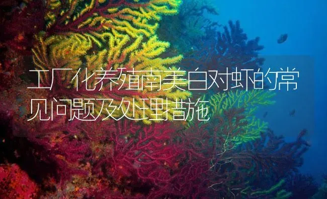 工厂化养殖南美白对虾的常见问题及处理措施 | 海水养殖