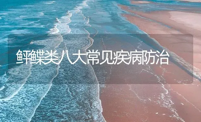 鲆鲽类八大常见疾病防治 | 养殖病虫害防治