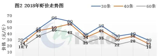 2018年冬棚虾怎么养，这些关键问题你注意了吗？