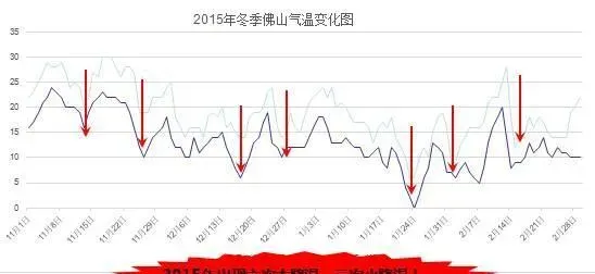 掌握了降温前后的健康管理要点，加州鲈越冬不用愁！