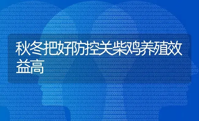 秋冬把好防控关柴鸡养殖效益高 | 家禽养殖