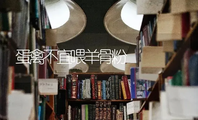 蛋禽不宜喂羊骨粉 | 家畜养殖