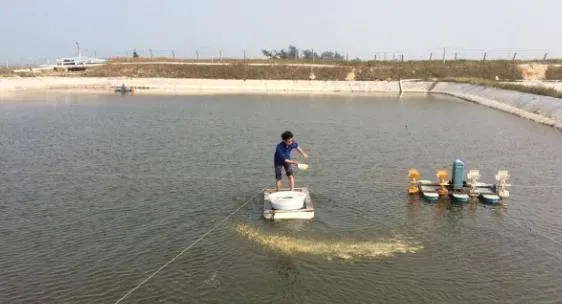 葡萄糖酸钙在水产养殖的应用