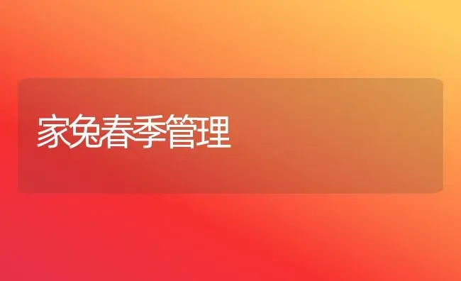 家兔春季管理 | 家畜养殖