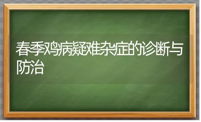 春季鸡病疑难杂症的诊断与防治 | 家禽养殖