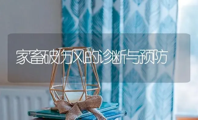 家畜破伤风的诊断与预防 | 家畜养殖