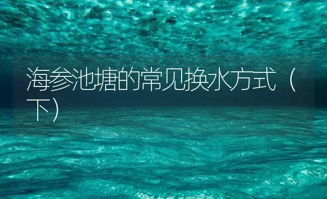 海参池塘的常见换水方式（下） | 海水养殖