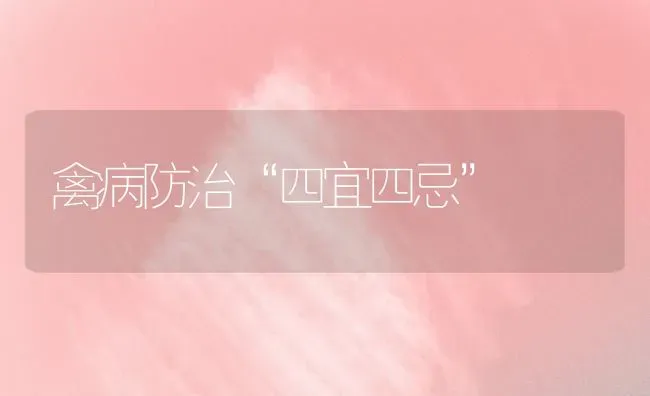 禽病防治“四宜四忌” | 家禽养殖