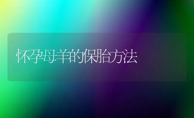 怀孕母羊的保胎方法 | 家畜养殖