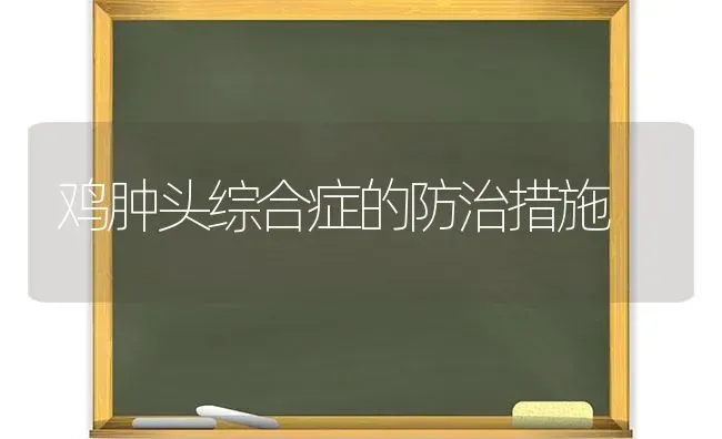 鸡肿头综合症的防治措施 | 家禽养殖
