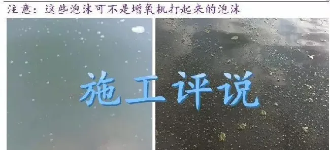 池塘底改是个很高深的问题吗？养殖户朋友能不能简单地底改？