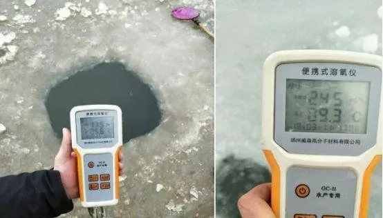 海参圈化冰这样管理您会更轻松