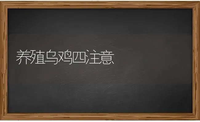 养殖乌鸡四注意 | 家禽养殖