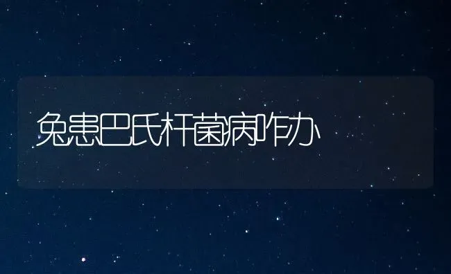 兔患巴氏杆菌病咋办 | 家畜养殖