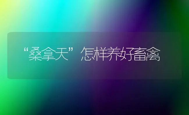 “桑拿天”怎样养好畜禽 | 家禽养殖