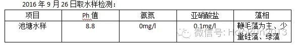 处理小棚南美白对虾老绿水吃料慢