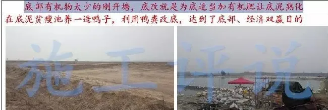 池塘底改是个很高深的问题吗？养殖户朋友能不能简单地底改？