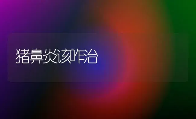 猪鼻炎该咋治 | 家畜养殖