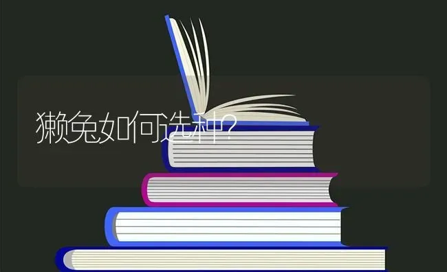 獭兔如何选种？ | 家畜养殖