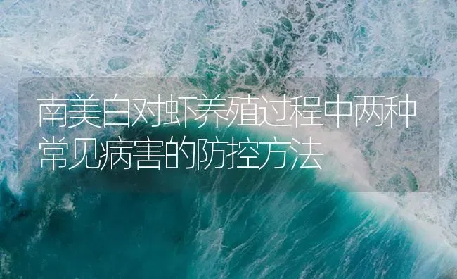 南美白对虾养殖过程中两种常见病害的防控方法 | 海水养殖