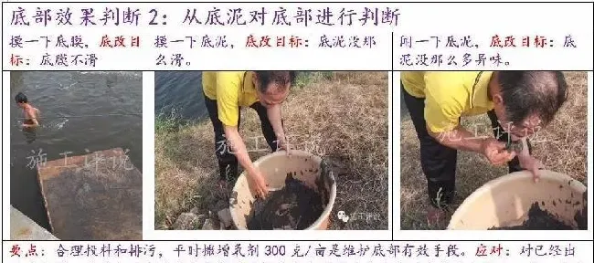 池塘底改是个很高深的问题吗？养殖户朋友能不能简单地底改？