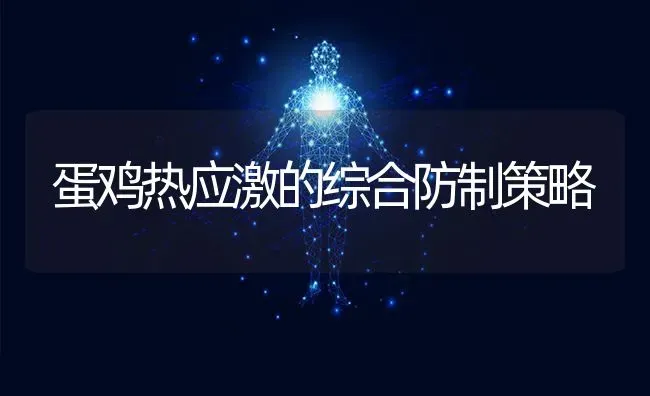 蛋鸡热应激的综合防制策略 | 家禽养殖