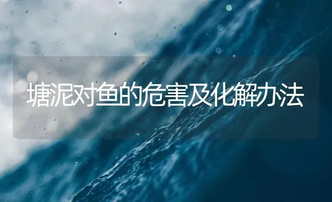 塘泥对鱼的危害及化解办法 | 养殖病虫害防治