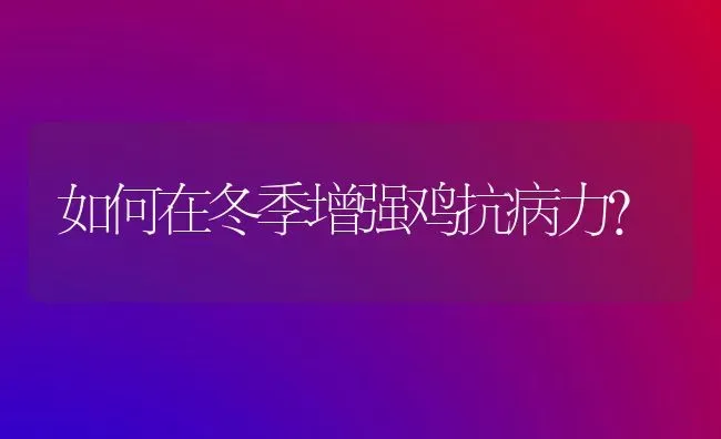 如何在冬季增强鸡抗病力？ | 家禽养殖