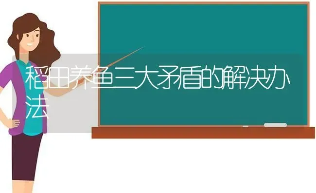 稻田养鱼三大矛盾的解决办法 | 动物养殖百科