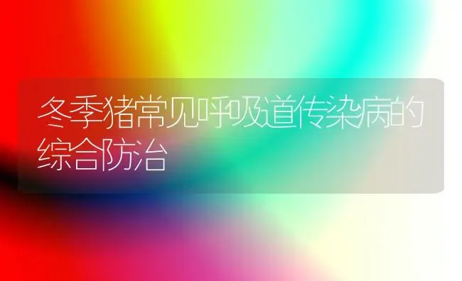 冬季猪常见呼吸道传染病的综合防治 | 家畜养殖