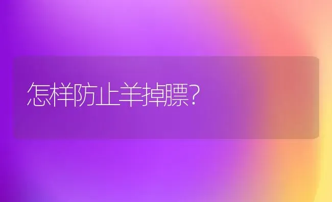 怎样防止羊掉膘？ | 家畜养殖