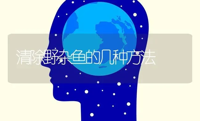 清除野杂鱼的几种方法 | 淡水养殖