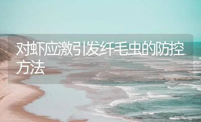 对虾应激引发纤毛虫的防控方法 | 海水养殖