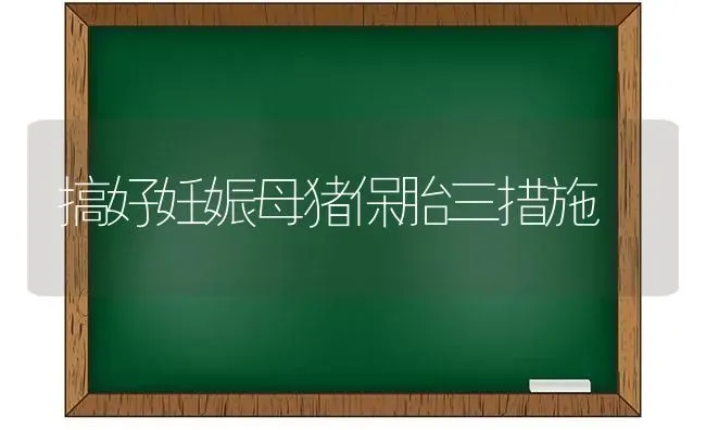 搞好妊娠母猪保胎三措施 | 家畜养殖