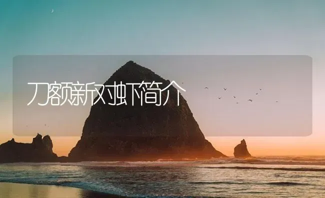 刀额新对虾简介 | 海水养殖