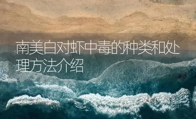 南美白对虾中毒的种类和处理方法介绍 | 海水养殖