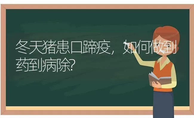 冬天猪患口蹄疫，如何做到药到病除? | 养殖病虫害防治