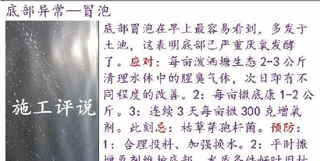 池塘底改是个很高深的问题吗？养殖户朋友能不能简单地底改？
