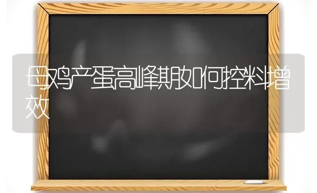 母鸡产蛋高峰期如何控料增效 | 家禽养殖