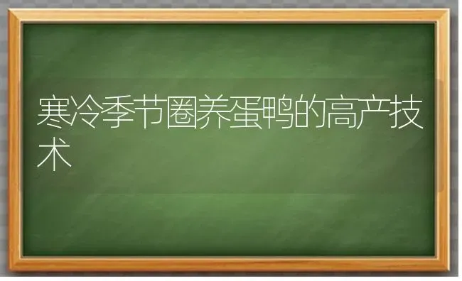 寒冷季节圈养蛋鸭的高产技术 | 家禽养殖