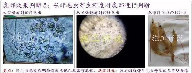 池塘底改是个很高深的问题吗？养殖户朋友能不能简单地底改？