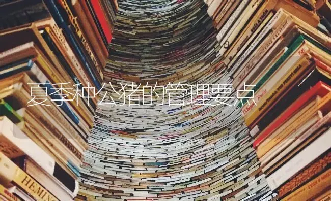夏季种公猪的管理要点 | 家畜养殖