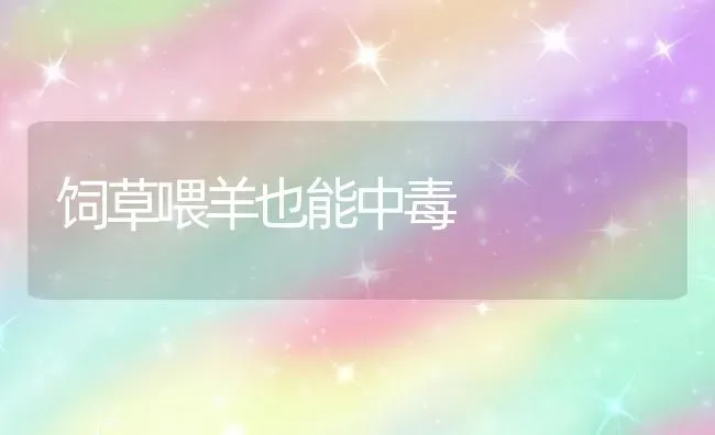 饲草喂羊也能中毒 | 家畜养殖