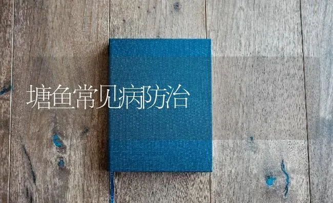塘鱼常见病防治 | 淡水养殖